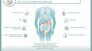 Como te alimentas y como te sientes está muy relacionado, 31 reveladores vídeos sobre alimentación y dolor