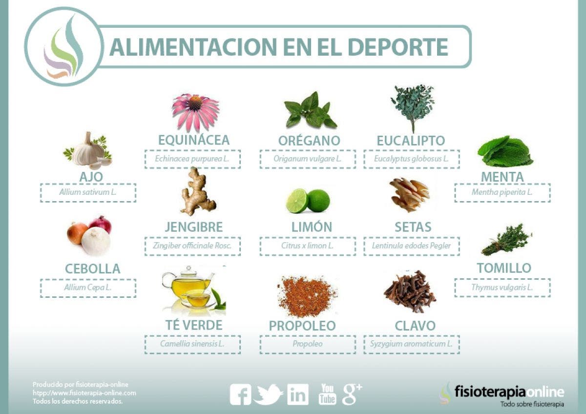 Plantas Medicinales Y Antibióticos Naturales | FisioOnline