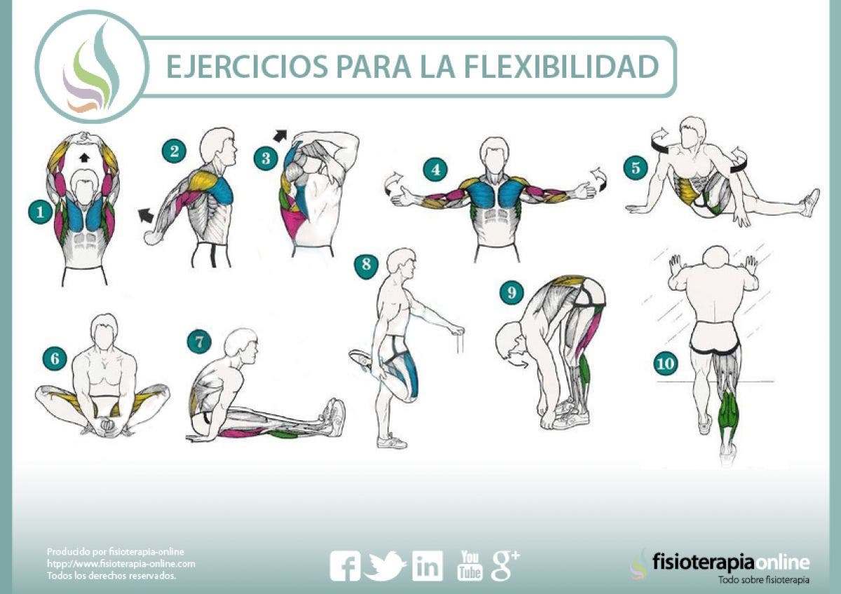 Ejercicios Para Mejorar Tu Flexibilidad Y Cuidar Tu Salud | FisioOnline