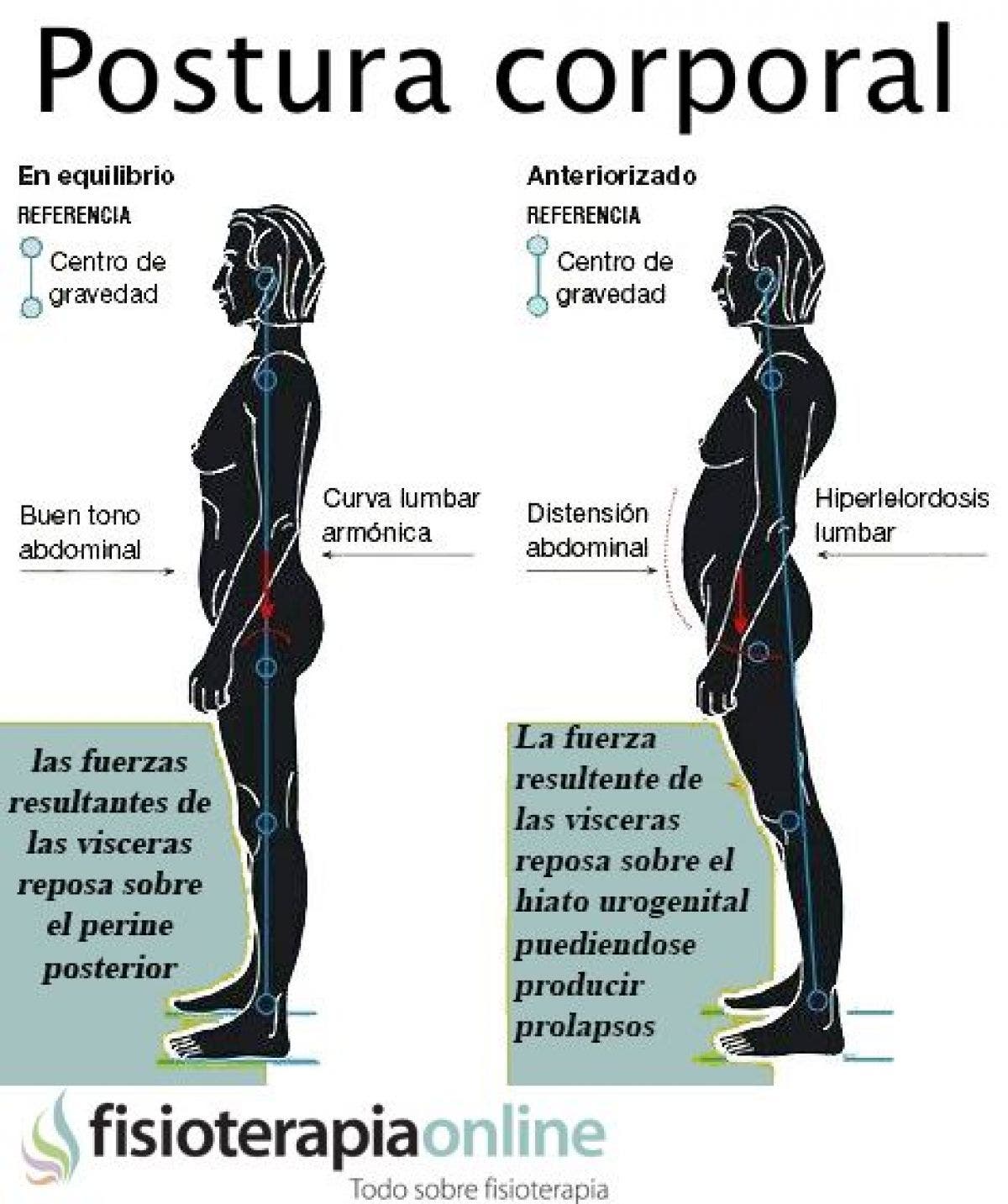 Observa La Gran Importancia De La Correcta Postura Corporal Para Evitar ...