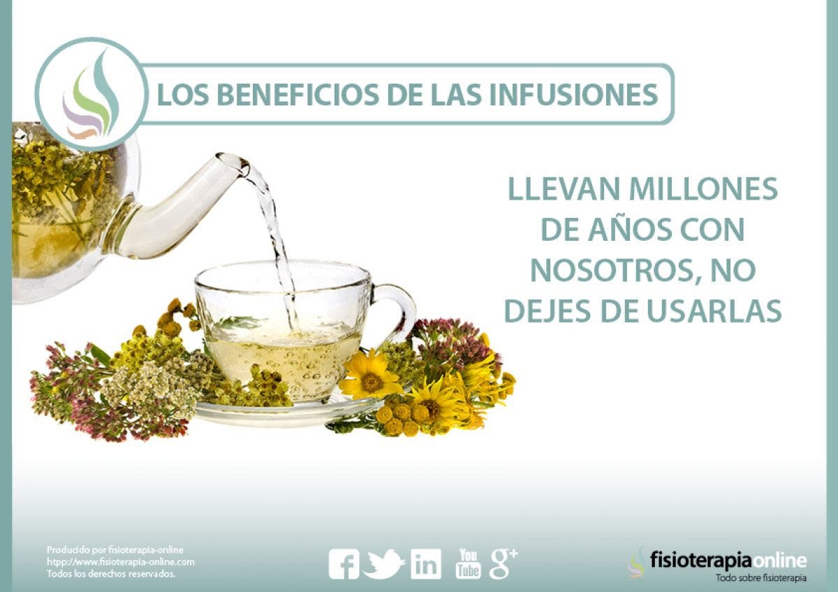 Los beneficios de las infusiones