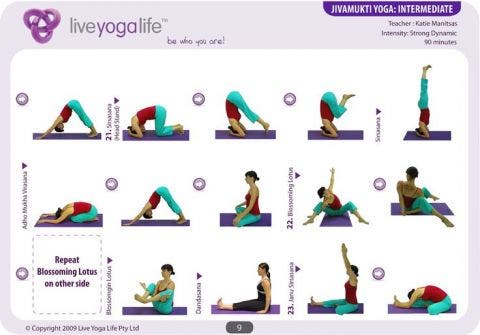 11 Tipos de yoga ¿Cuál se adapta mejor a mí? - El Antequirófano