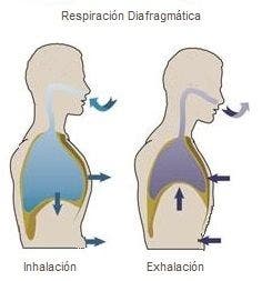 Patrones respiratorios básicos y su influencia en la salud