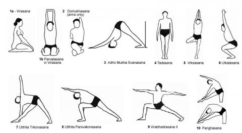 Tipos de yoga: ¿Cuál es mejor para mi y mis características