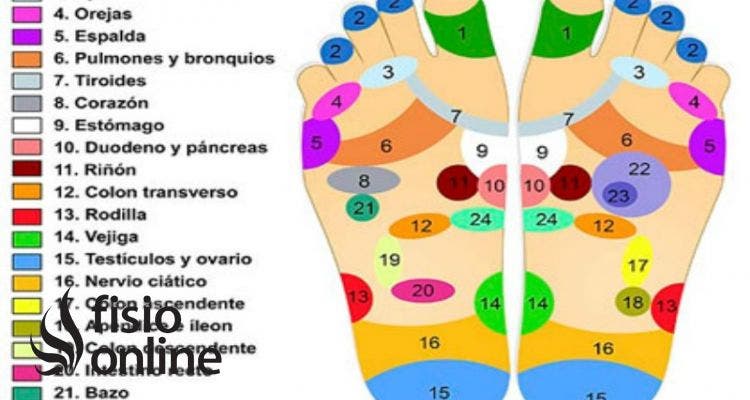 Reflexologia podal best sale para el estreñimiento