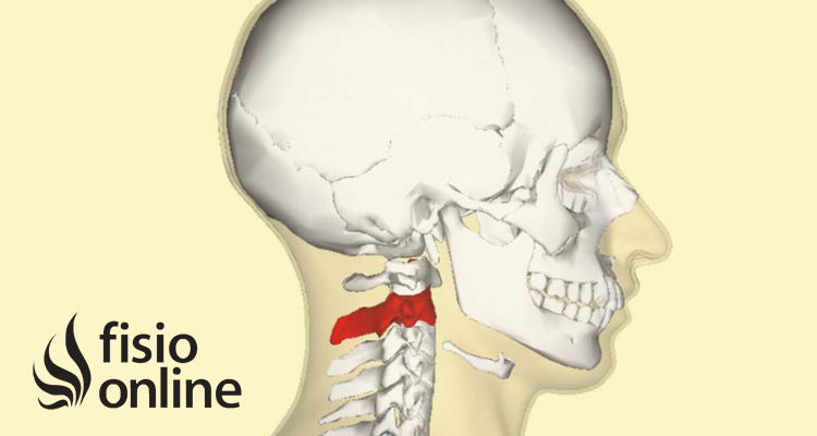 Personalizar el cuello Vértebras cervicales hombro caliente