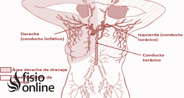 linfedema secundario