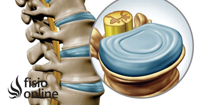 6 Curiosidades que no sabías sobre las vértebras, su anatomía y funcionamiento