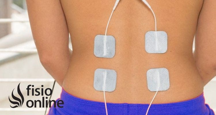 Electrodos files - Material de Fisioterapia Online.es