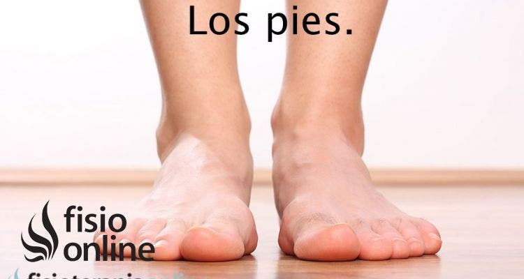 Empieza por los cimientos, tus pies