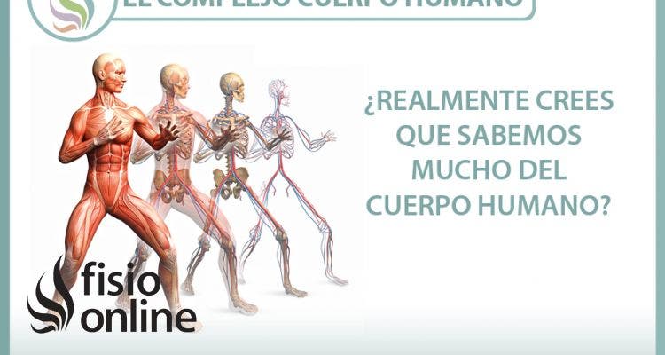 El complejo cuerpo humano