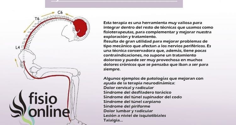 Neurodinámica o movilización del sistema nervioso. ¿Que es y para que sirve?