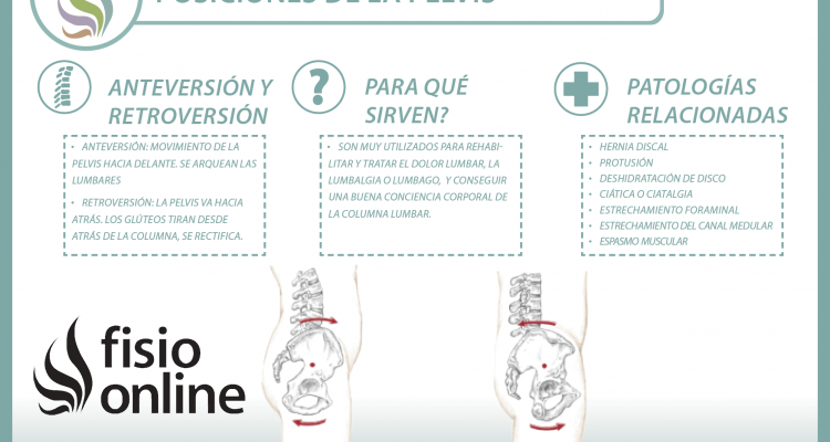 La relación entre la pelvis y la columna lumbar es evidente, te enseñamos el porqué y el como de esta conexión