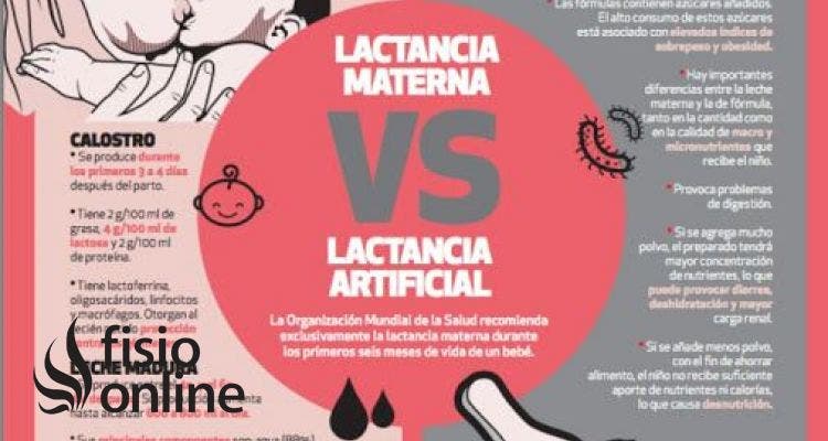 Lactancia artificial o lactancia materna