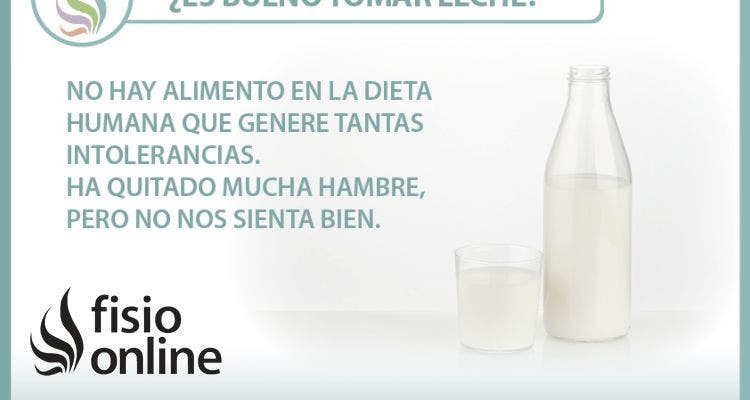 ¿Es bueno tomar leche? Te contamos por qué no