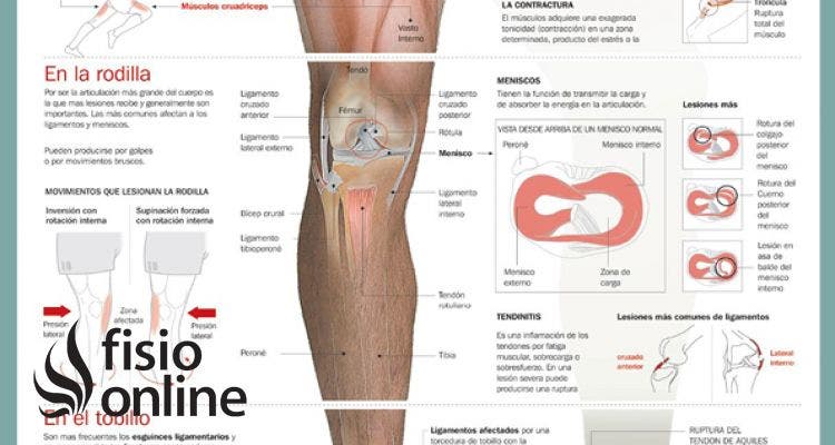 Las lesiones del futbolista, aprende cuáles son y cómo tratarlas