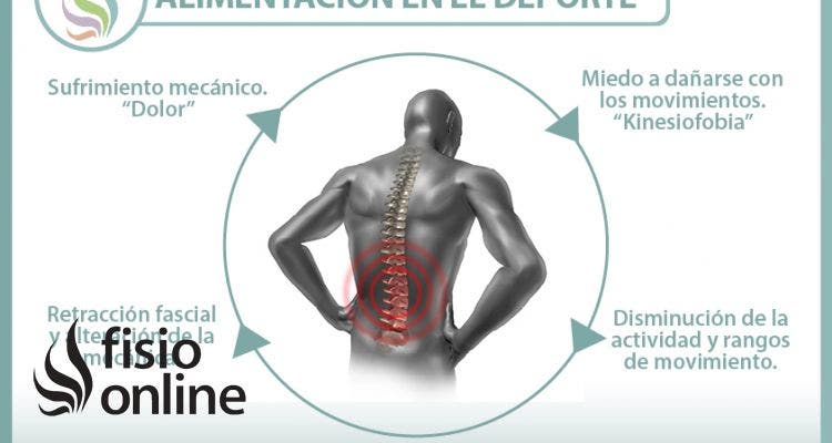 El circulo vicioso de la lumbalgia o dolor lumbar