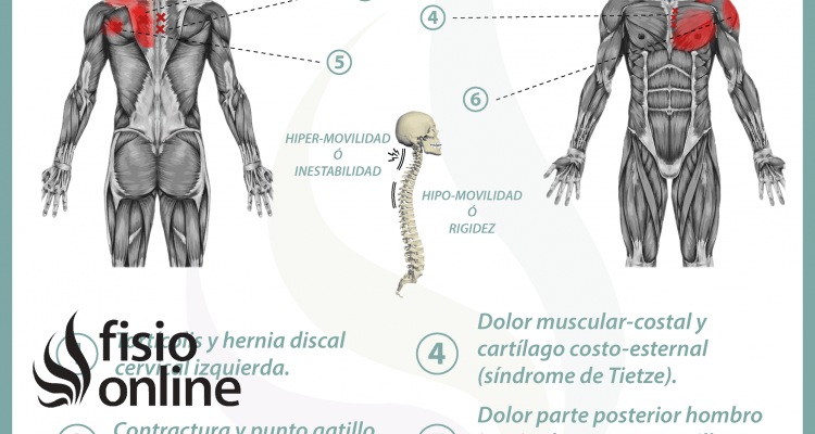 Relación entre el estómago y el dolor de espalda