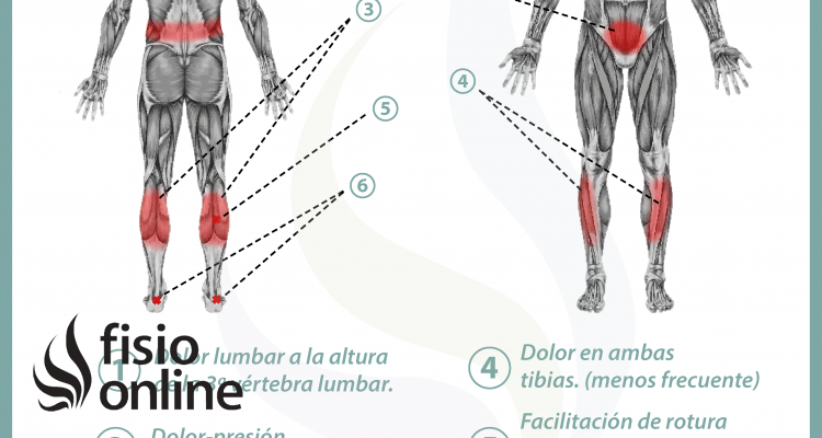 Relación entre vejiga y dolor de piernas y espalda