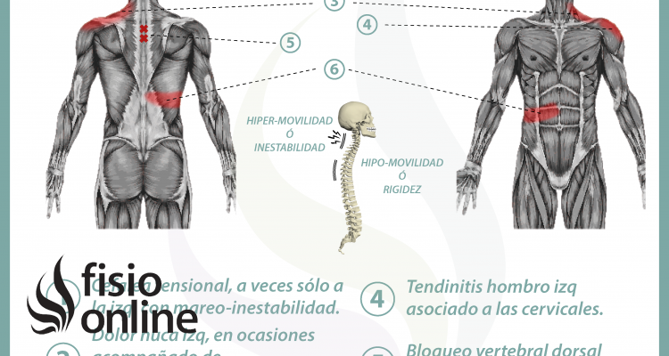 Relación entre vesícula y dolor de espalda