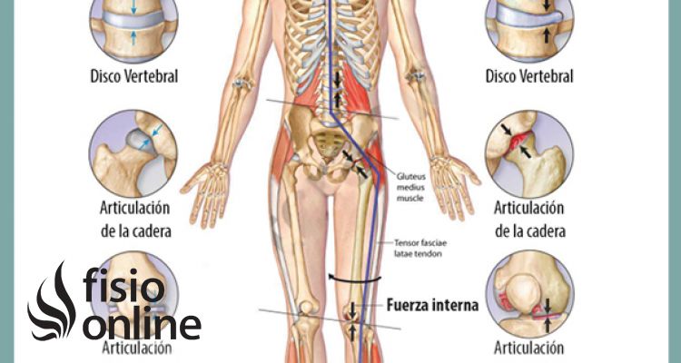 Los efectos de la gravedad sobre nuestro cuerpo y las articulaciones