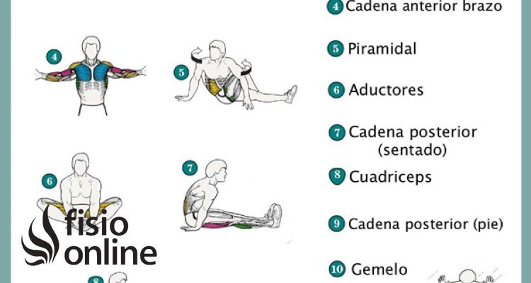 Ejercítate y estira, la mejor forma de evitar lesiones y mantenerte ágil