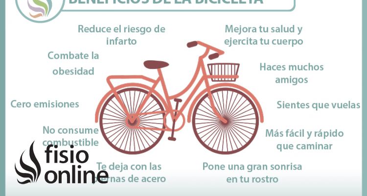 Las bicicletas son para todo el año