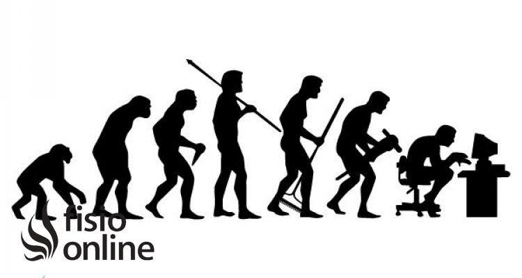 El sedentarismo ¿Es la meta de la evolución humana?