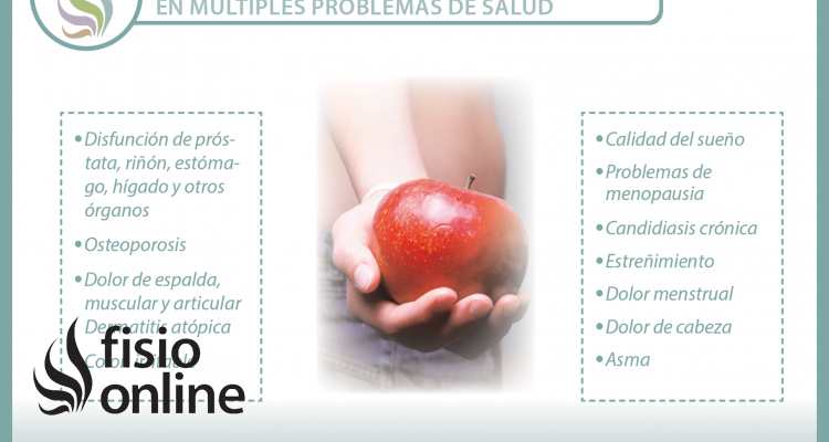 Cada día está mas claro, alimentación, salud y enfermedad van de la mano