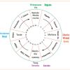 Fibromialgia cura definitiva