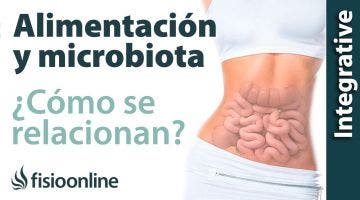 Alimentación, microbiota y regulación de la inflamación. ¿Cómo se relacionan?