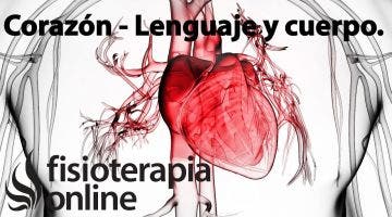 Corazón - Lenguaje y cuerpo.