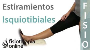 20.Estiramiento de isquiotibiales (unilateral).