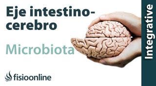 Microbiota, eje intestino cerebro