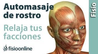 Automasaje de online hombros