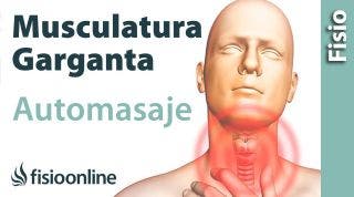 Automasaje hombros online