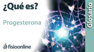 PROGESTERONA | Qué es, qué órgano la segrega, efectos, en qué estructuras del cuerpo actúa