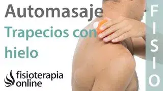 https://www.fisioterapia-online.com/sites/default/files/styles/video_thumb/public/media-youtube/xvvADnG_Me_0.jpg,qitok=XBd-ZlIB.pagespeed.ic.Pq9dovCuQw.webp